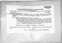Image Associated With the Occurence